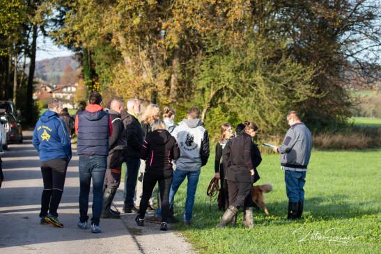 Zuschauer und Teilnehmer auf der Fährte